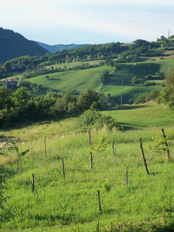 Poggio D'Incanto Bettola  Buitenkant foto