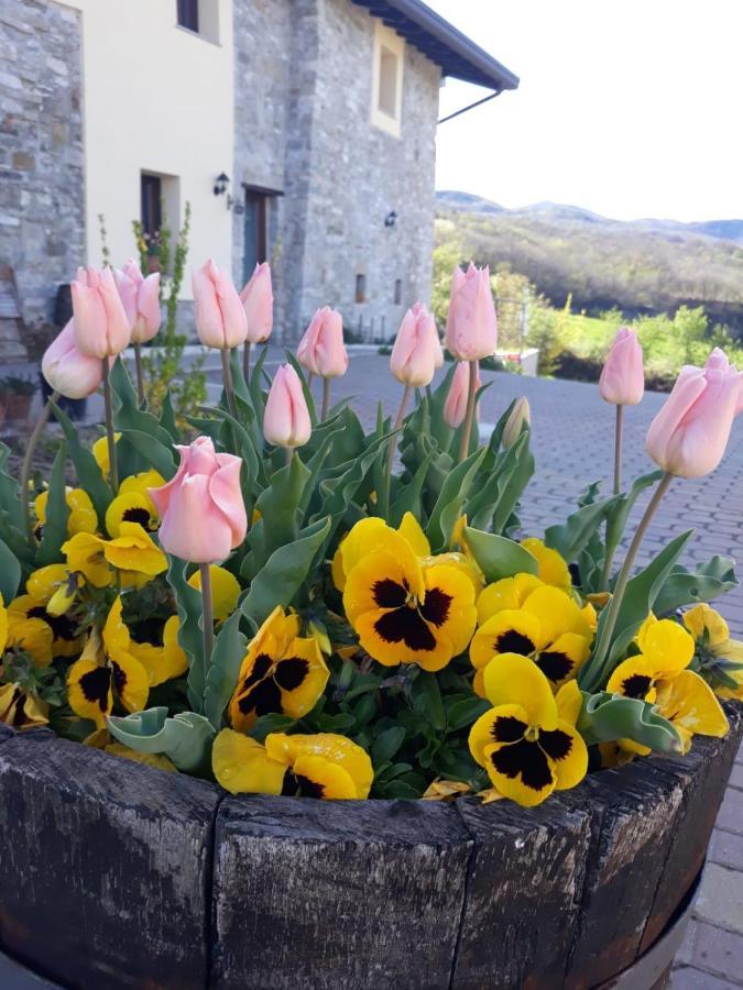 Poggio D'Incanto Bettola  Buitenkant foto